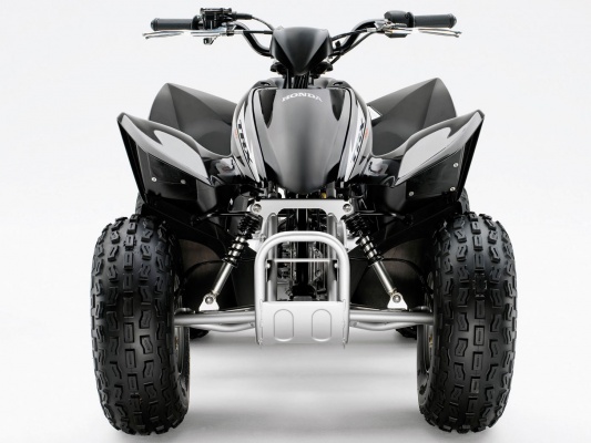 Фото квадроцикла Honda TRX90X